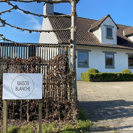 B&B Maison Blanche Gent Buitenkant foto